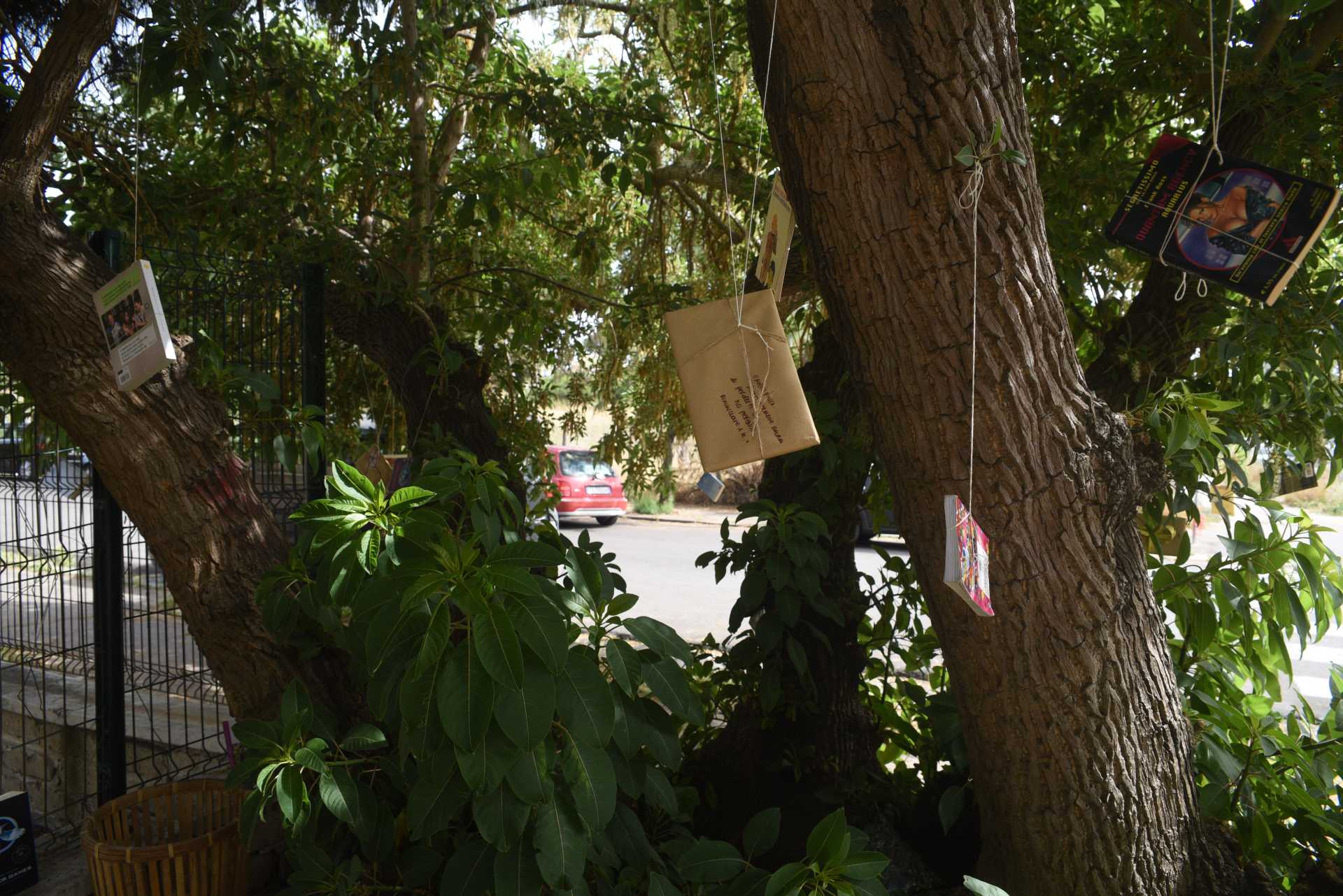 L'albero dei libri....